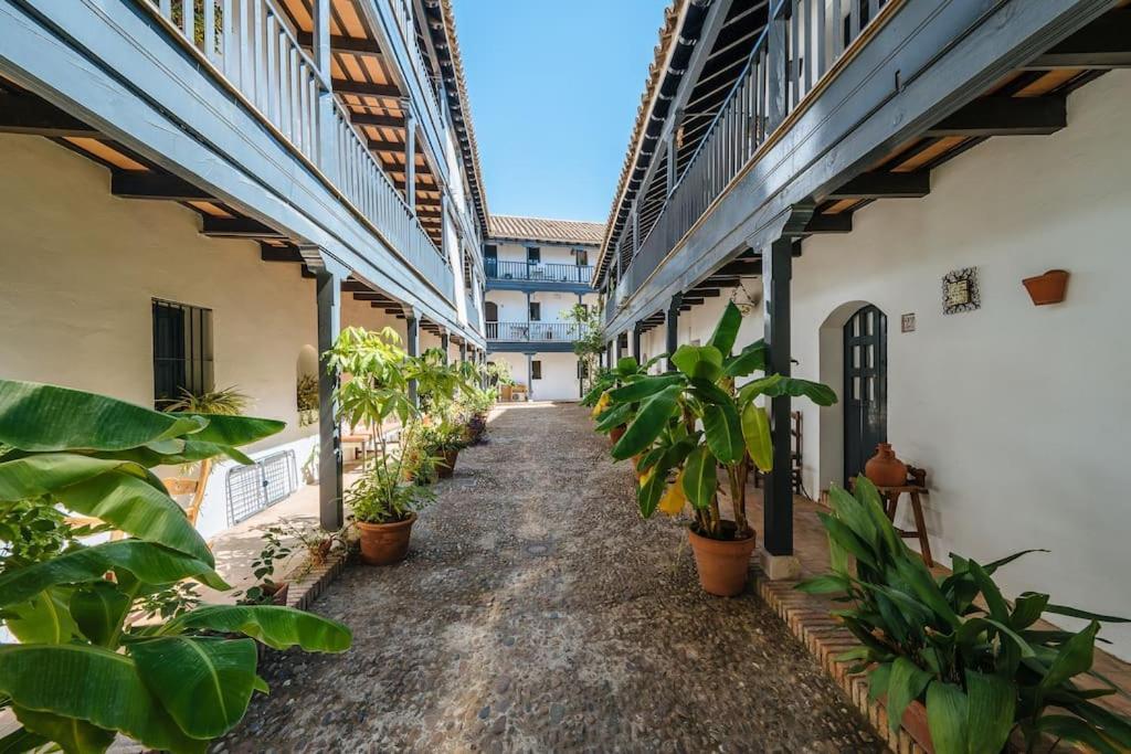 New Apartment In Traditional Building Of The XVI Century Sevilla Bagian luar foto