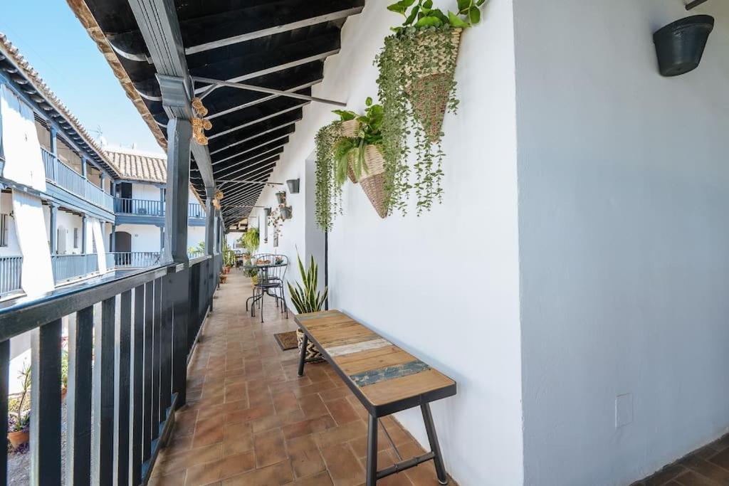 New Apartment In Traditional Building Of The XVI Century Sevilla Bagian luar foto